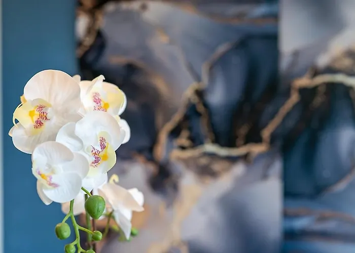 Style And Confort 120mq, Free Garage *