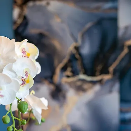 Apartman Style And Confort 120mq, Free Garage Torino